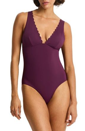 Sea Level Australia Scalloped Plunge One-Piece Swimsuit in Claret at Nordstrom, Size 10 Us