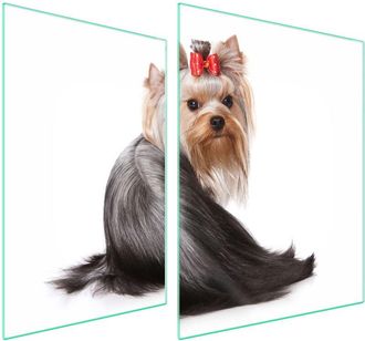 OEM Placa Protectora De Vidrio Para Estufa 70x52 Perro