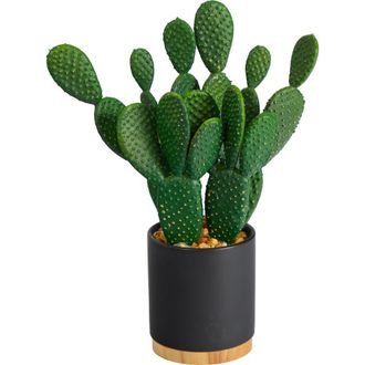 Nearly Natural 10-in Cactus Succulent Artificial Plant in Planter in Green at Nordstrom