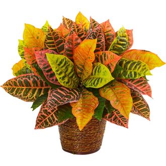 Nearly Natural 17-in Garden Croton Artificial Plant in Basket in Orange at Nordstrom