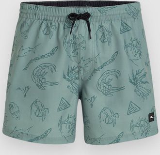 O'Neill Mix & Match Cali Print 15 Boardshorts groen