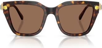 Swarovski 53mm Irregular Sunglasses in Havana /Dark Brown at Nordstrom