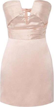 Elisabetta Franchi Kleedjes, Dames, Roze, XL, Tule, Mini jurk van gazar stof