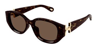 Chloé CH0237SK Asian Fit 002 Womens Sunglasses Tortoiseshell Size 54