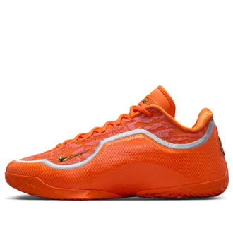 Nike LeBron 23 EP Shoe Bag IV5648-800