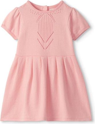 Hatley Kids Pointelle Short Sleeve Sweater Dress in Blossom at Nordstrom, Size 12-18M