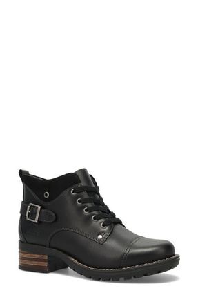 Taos Mini Crave Ankle Boot in Black at Nordstrom, Size 11-11.5Us