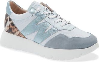 Wonders Lace-Up Platform Sneaker in Aura/Aura at Nordstrom, Size 9.5-10Us