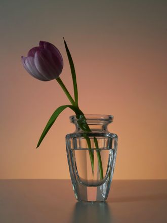 Moser Eternity Hand-Blown Crystal Bud Vase (4.5in/12cm)