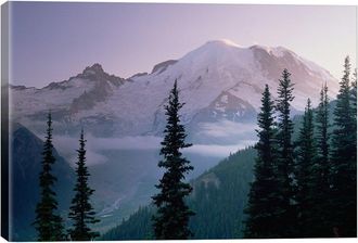 iCanvas Icanvas Mt Rainier As Seen At Sunrise, Mt Rainier National Park, Washington I By Tim Fitzharris Wall Art