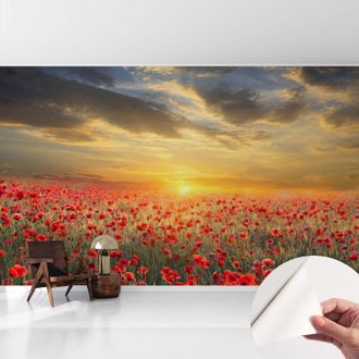 Tulup Carta Da Parati Autoadesiva - Fotomurale - Decorazione Parete - Murale - Adesivo Da Muro - Campo Di Papaveri 416x254 Cm