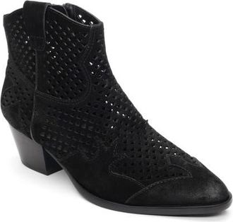 Ash Flare Bootie in Black at Nordstrom, Size 11Us