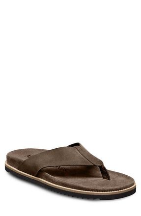 Allen Edmonds Sawgrass Flip Flop in Chocolate Suede at Nordstrom, Size 13