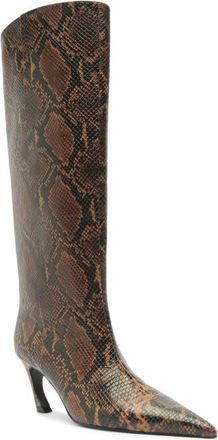 Schutz Lexi Pointed Toe Knee HIgh Boot in Pecan Brown at Nordstrom, Size 7.5