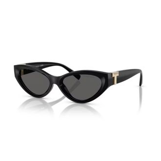 Tiffany & Co. 0tf4225u Cat-Eye Sunglasses with Gold-Tone Detail