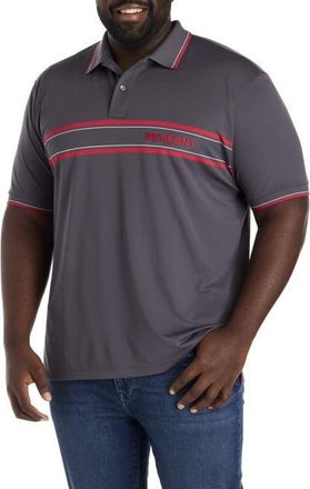 Psycho Bunny Big & Tall Ives Sport Polo Shirt in Blackened Pearl at Nordstrom, Size Xx-Large