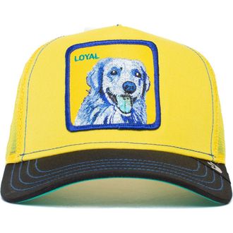 Goorin Brothers Doggy Trip Patch Trucker Hat in Yellow at Nordstrom Rack