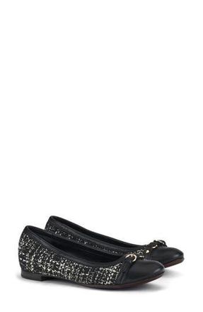 AGL Mae Cap Toe Tweed Ballet Flat in Nero-Nero-Nero-Nero at Nordstrom Rack, Size 10.5Us / 40.5Eu
