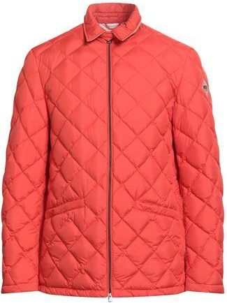 Husky ROPA DE ABRIGO - Plumíferos y acolchados en YOOX.COM