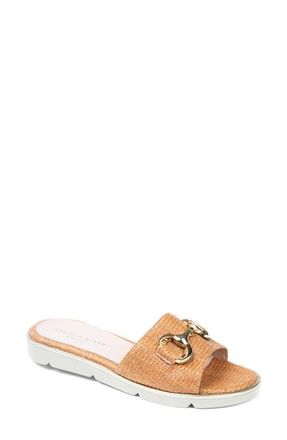 Patricia Green Princeton Sandal in Cognac Raffia at Nordstrom, Size 10