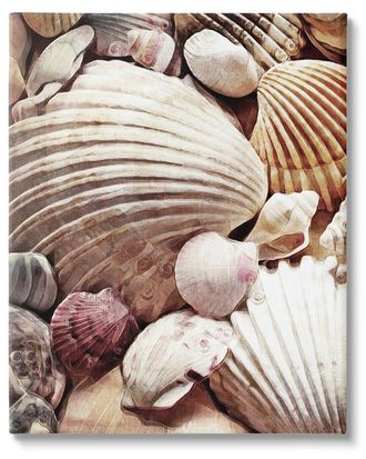 Stupell Industries Various Nautical Clam Conch Shells Canvas Wall Art By Ashley Aldridge