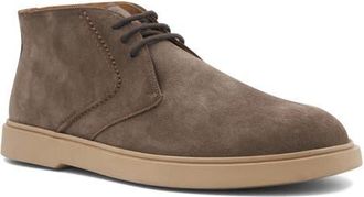 Bruno Magli Cat Walk Chukka Boot in Taupe Suede at Nordstrom, Size 10.5