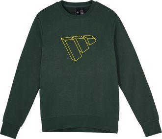 adidas Fi Swt Ft Bos Casual Sports Round Neck Pullover Green GP1003