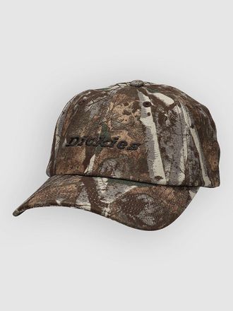 Dickies Middlefield Wash Dad Cap camouflage