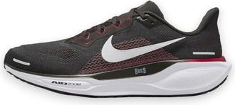 Nike Air Zoom Pegasus 41 NFL Tampa Bay Buccaneers IB3198-200