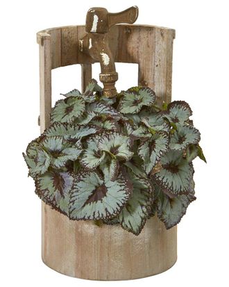 Nearly Natural Rex Begonia Artificial Plant in Faucet Planter
