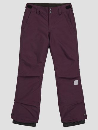 O'Neill Star Regular Snow Kids Broek