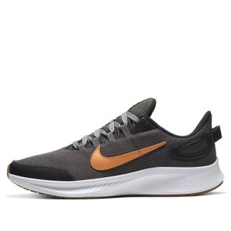 Nike Runallday 2 Metallic Copper CD0223-004