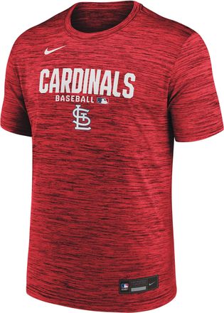 Nike St. Louis Cardinals Authentic Collection Nike Mens Dri-FIT MLB T-Shirt in Red | 02ER62QSCN-RMG