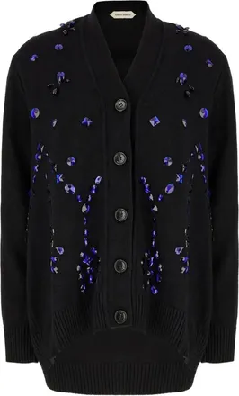 Alberta Ferretti Cardigan