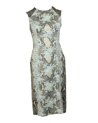 Erdem Erdem Snakeskin Print Dress with Lace Detail in Grey Viscose