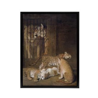 Artery8 Whelps Lion & Tigress in Zoo Cage Agasse Black Framed Canvas Art in Brown | Size: W24 x H32