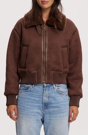 Noize Fannie Faux Fur Collar Faux Suede & Faux Leather Crop Bomber Jacket in Chocolate at Nordstrom Rack, Size X-Large