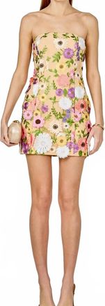 endless rose Floral Embroidered Mini Dress In Multi Color