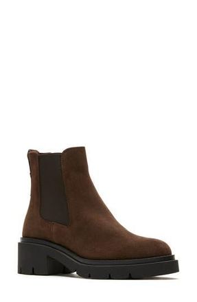 La Canadienne Waren City Dry Waterproof Chelsea Boot in Brunette Suede at Nordstrom Rack, Size 7.5
