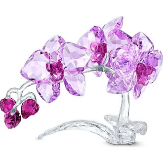 Swarovski Orchid Flower Crystal Decoration at Nordstrom