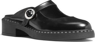 Kate Spade New York halo mule in Black at Nordstrom, Size 8.5