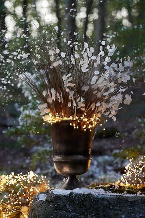 Terrain Pearl String Lights