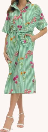Entro Bouquet Stripe Cotton Midi Shirt Dress In Green Multi