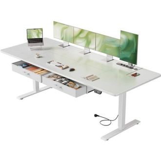 OEM Hlonone Mesa Elevable El&eacute;ctrica, 200 X 80 Cm Mesa Elevable Con Toma Incorporada, Puerto Usb-c, 2 Cajones Extra&iacute;bles, Blanco