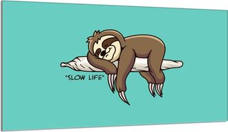 OEM Placa Protectora De Vidrio Para Estufa 90x52 Perezoso