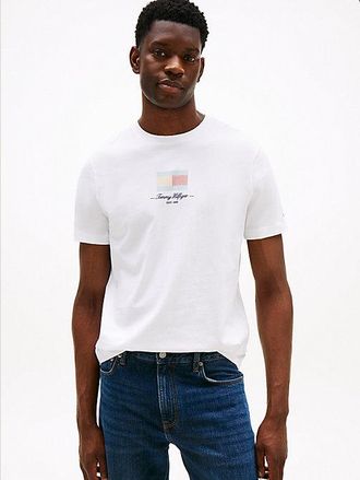 Tommy Hilfiger Ithaca Stripe Flag T-Shirt