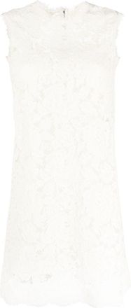 Dolce & Gabbana sleeveless lace mini dress - women - Polyamide/Viscose/Cotton/Spandex/Elastane/Silk/Spandex/Elastane - 40 - Neutrals