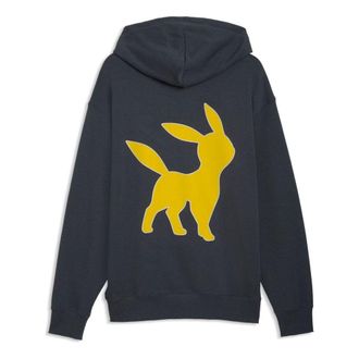 Puma X Pokemon Relaxed Hoodie Strong Gray 634915-76
