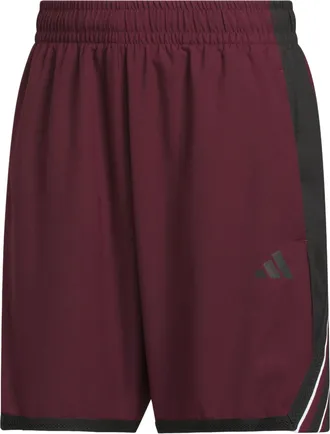 adidas Crazy Lite Shorts Asia Sizing Maroon Black KV9672