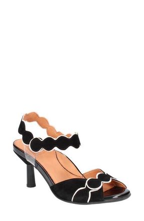 L'Amour Des Pieds Lavantia Sandal in Black/White at Nordstrom, Size 6.5